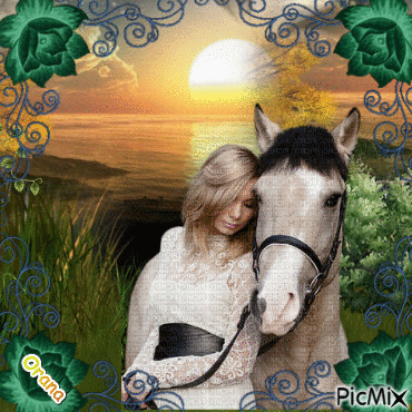 le plus beau des chevaux - Ingyenes animált GIF