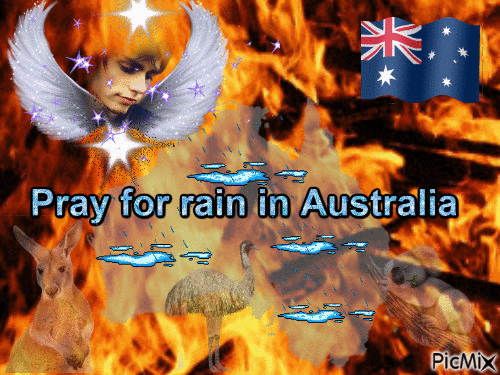 Help Australia - Pray for rain - GIF animé gratuit