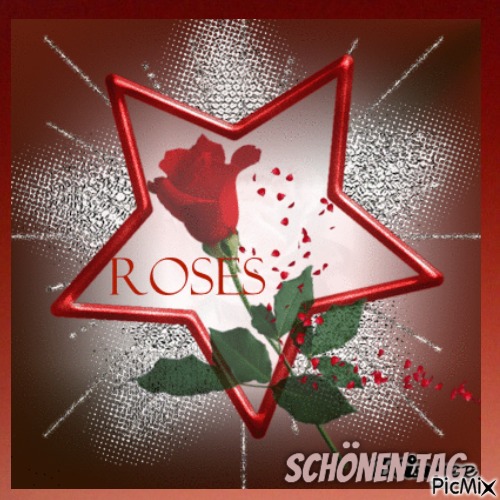 Die Rose - 無料png