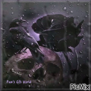 Black Rose, crow and skull - 免费动画 GIF