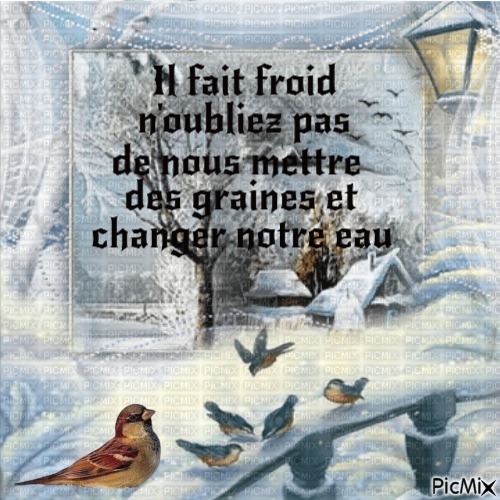 Pensez aux petits oiseaux. - ücretsiz png