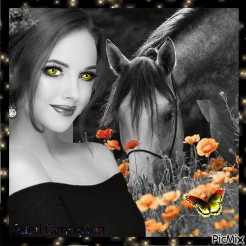 O cavalo dos meus sonhos - Gratis geanimeerde GIF