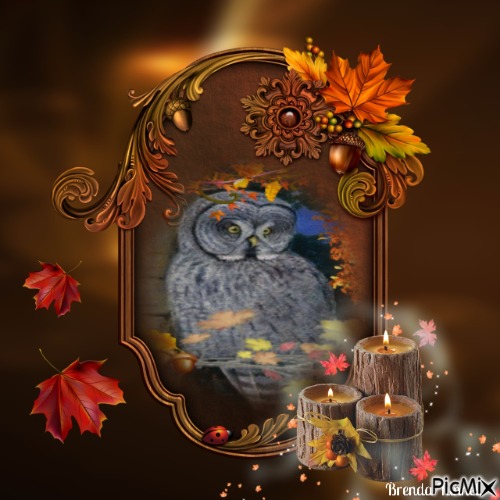 autumn owl - kostenlos png