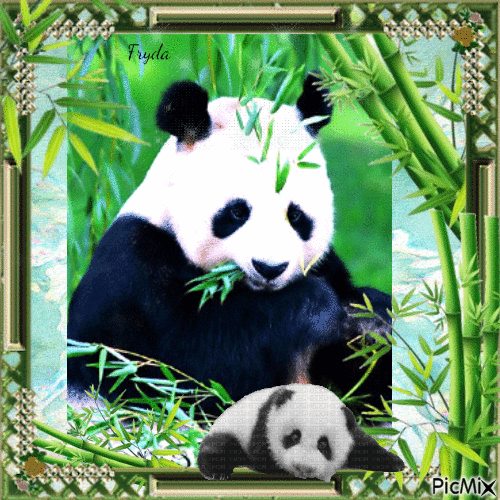 Un gros câlin aux pandas - GIF animé gratuit