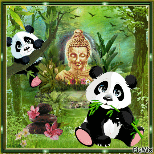 pandas - Безплатен анимиран GIF