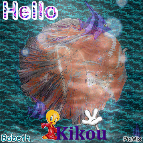 hello kikou - Gratis animeret GIF
