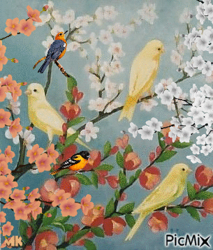 Tres pájaros amarillos también - Besplatni animirani GIF