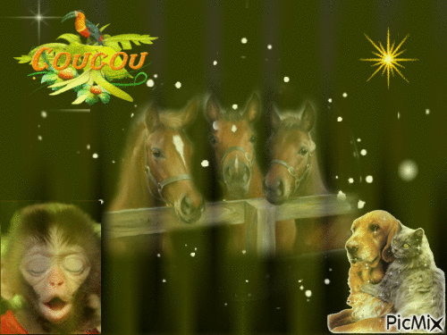 chevaux dans la nuit - GIF animado grátis