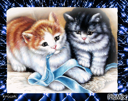 Cute kittens - 無料のアニメーション GIF