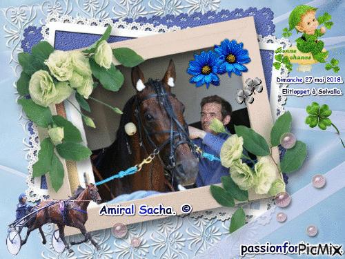 Le champion Amiral Sacha. © - 無料のアニメーション GIF