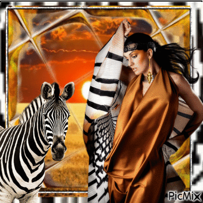 zebra and gold - Darmowy animowany GIF