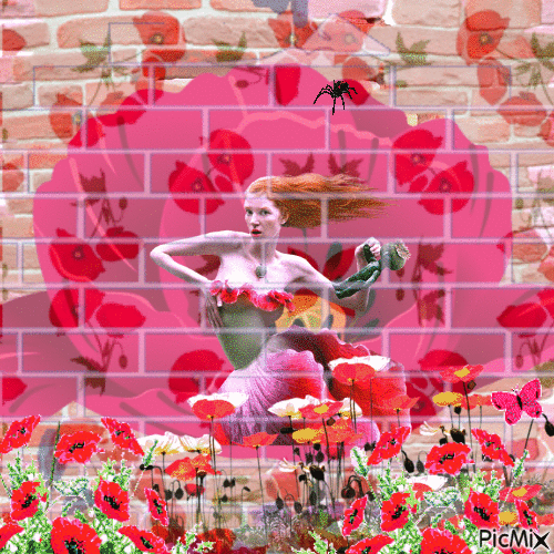 sureal poppies - Gratis geanimeerde GIF