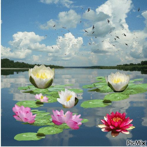 Озеро - Darmowy animowany GIF