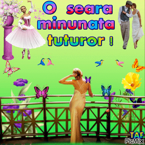 O SEARA  FRUMOASA TUTUROR ! - 無料のアニメーション GIF