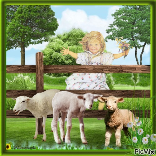 Petite fille et moutons (vintage). - png ฟรี