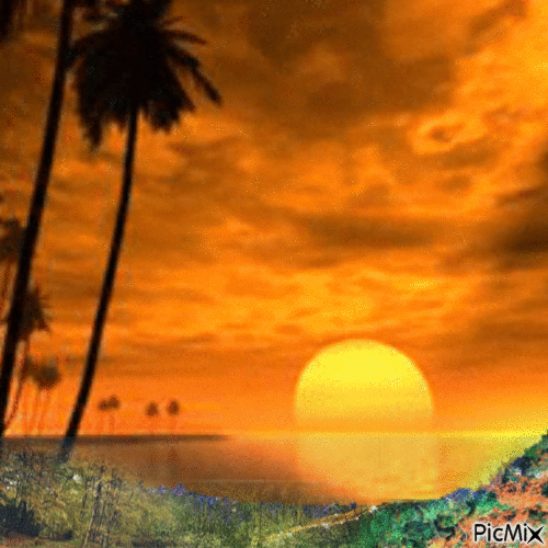 Sunset - GIF animasi gratis