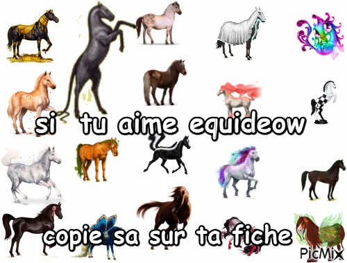 equideow ! - Free PNG