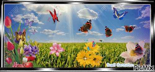 Voô das borboletas - Bezmaksas animēts GIF