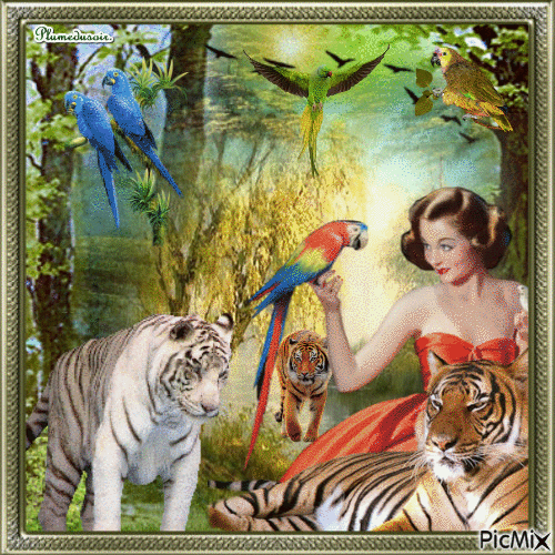 Tigres et perroquets. - GIF animado gratis
