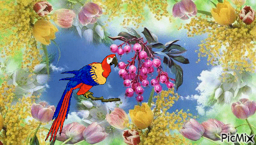 l'oiseau et les fruits - Animovaný GIF zadarmo