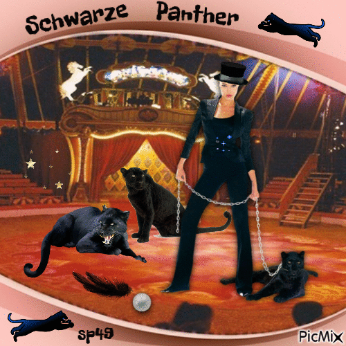 Schwarze Panther - GIF animé gratuit