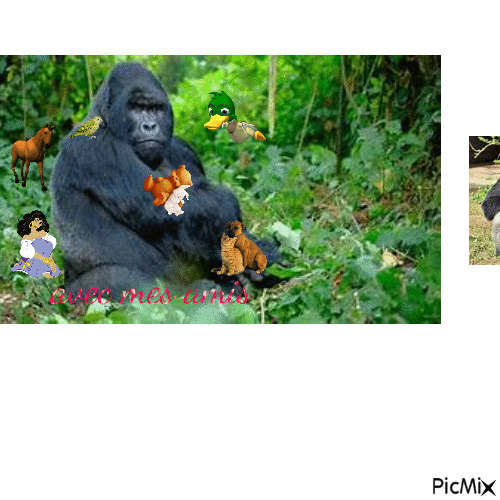 le gorille et ses amis - GIF animé gratuit