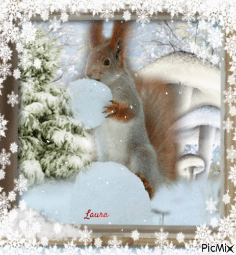 Winter scoiattolo - Laura - GIF animado gratis