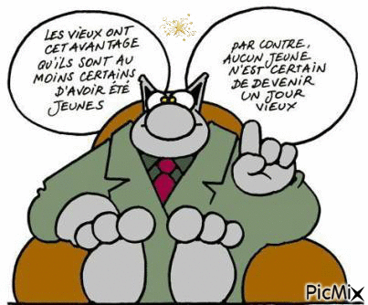 Le chat - Free animated GIF