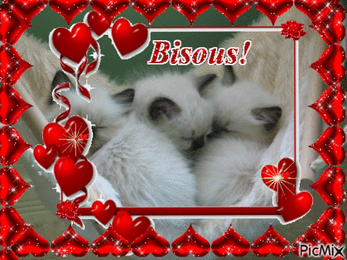 BISOUS! - Free animated GIF