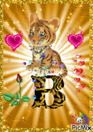 tiger b - Zdarma animovaný GIF