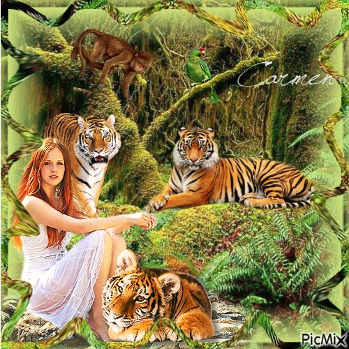 Relax in the forest - gratis png