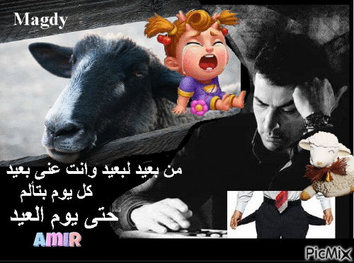 من بعيد لبعيد فين خروف العيد - Ücretsiz animasyonlu GIF