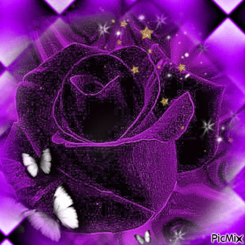 Rose Violette - Free animated GIF