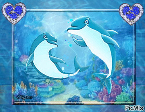 Jolis dauphins - Free animated GIF
