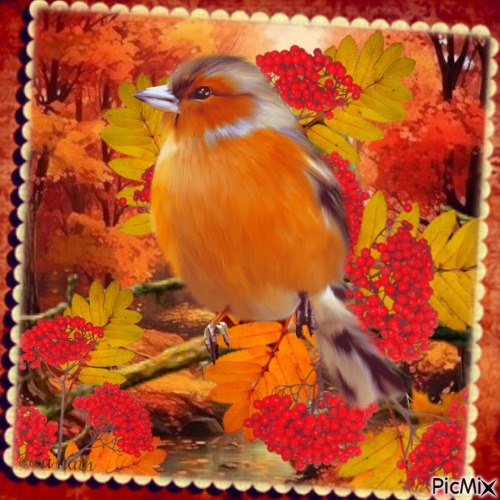 Oiseau d'automne ou d'hiver / concours - png gratis