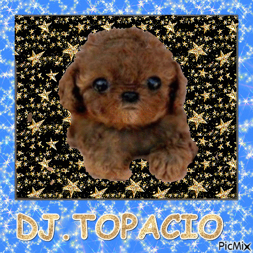 DJ.TOPACIO - 免费动画 GIF