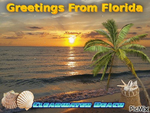 Greetings From Florida - Ücretsiz animasyonlu GIF