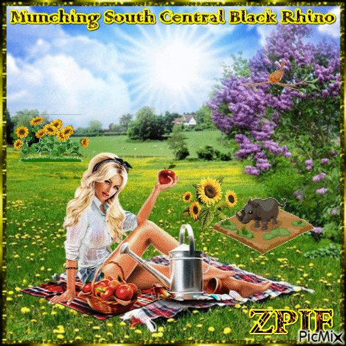 Munching South Central Black Rhino - Безплатен анимиран GIF