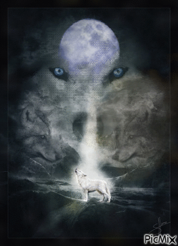la lune éclaire le loup - Darmowy animowany GIF