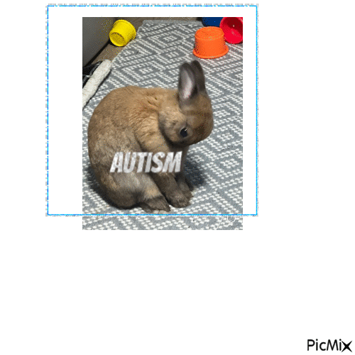 autismrabbit - Бесплатный анимированный гифка