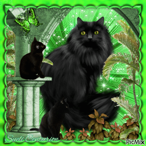 Verde e gato(s) - Gratis animerad GIF
