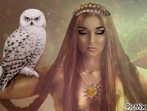 OWL FANTASY - Darmowy animowany GIF