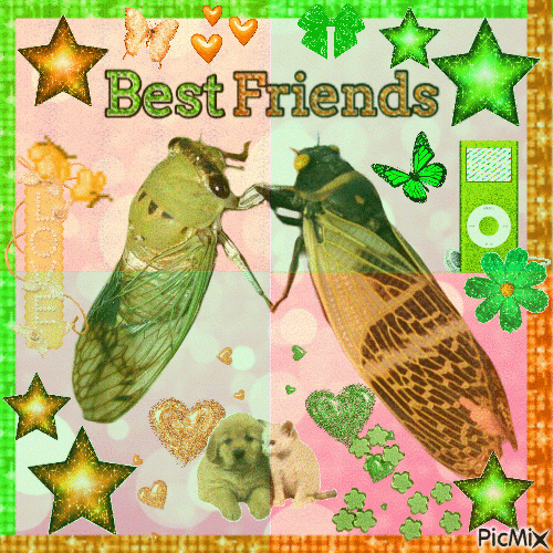 best friend cicadas - Δωρεάν κινούμενο GIF