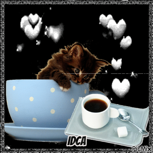 Café du chat - Ingyenes animált GIF