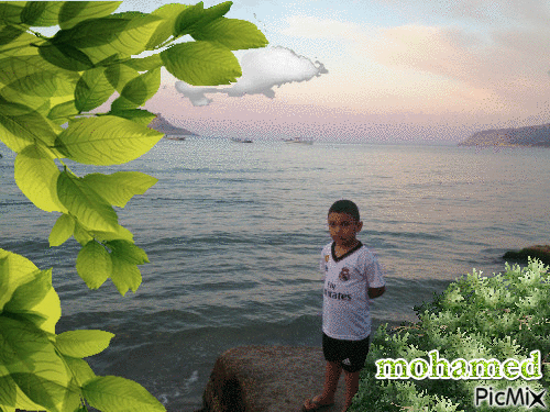 mohamed - Free animated GIF