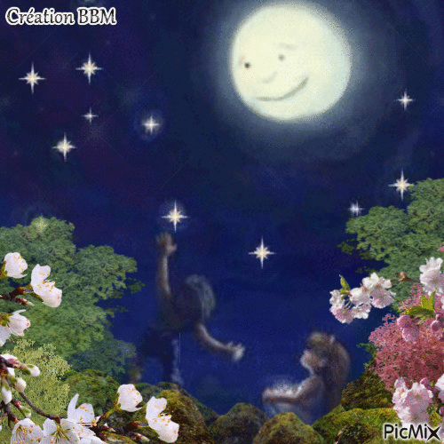 Nuit étoilée par BBM - GIF animado grátis