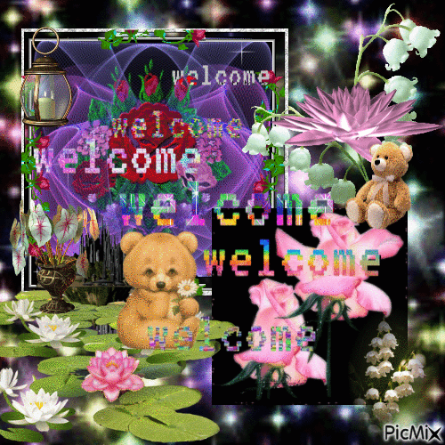 welcome to the web - Free animated GIF