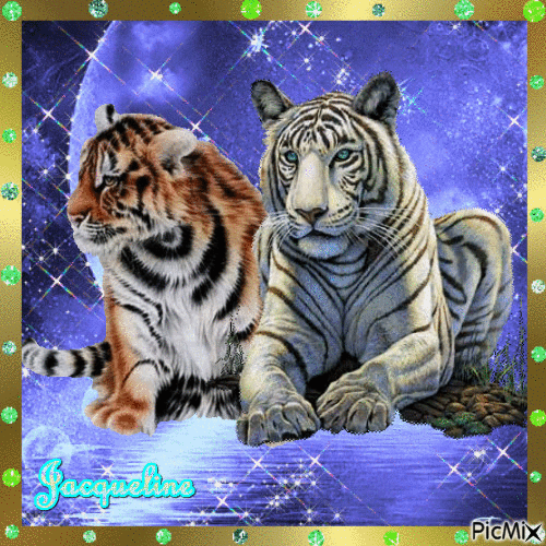 superbes tigres - Nemokamas animacinis gif