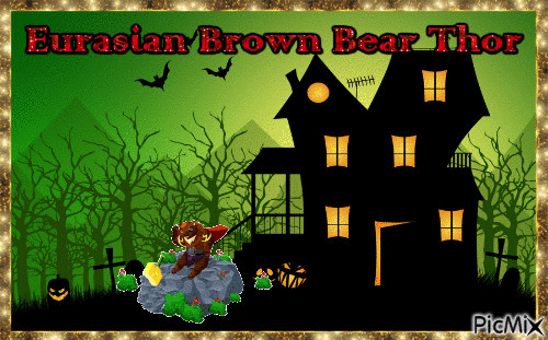 Eurasian Brown Bear Thor - Bezmaksas animēts GIF