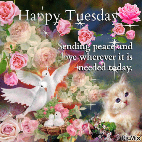 Image result for Happy Tuesday picmix
